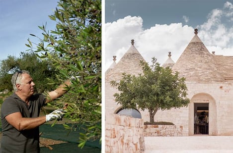 Séjour de luxe dans les Pouilles en Italie