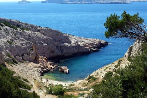 Les Calanques de Marseille : joyau du sud de la France