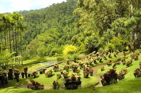 Jardin de Balata, Martinique