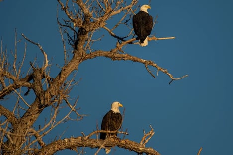 5) Picos de Europa, Asturias