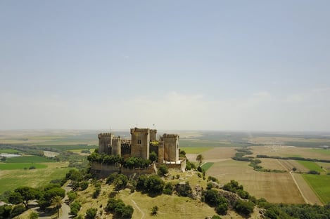 4) La Lengua de las Mariposas