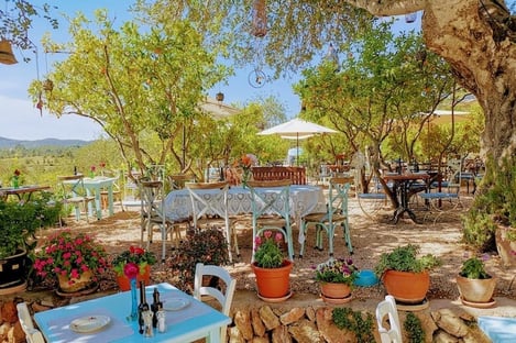 The hidden side of Ibiza