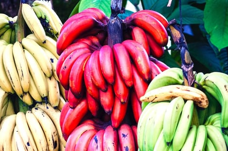 Escale gourmande aux Maldives : les spécialités locales à ne pas manquer