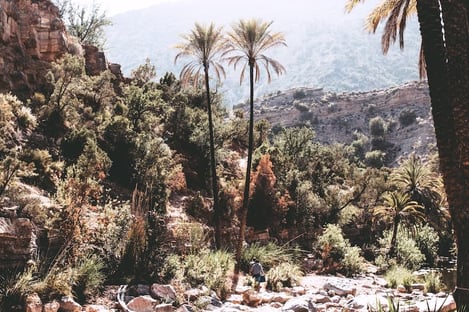In and around Taroudant