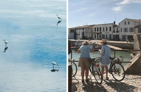 What to do on Île de Ré in winter?