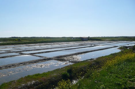 Things to Do During Winters on Ile de Ré