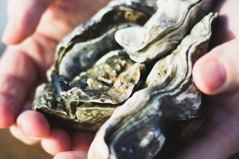 Au royaume de la gastronomie rétaise, le terroir est roi.