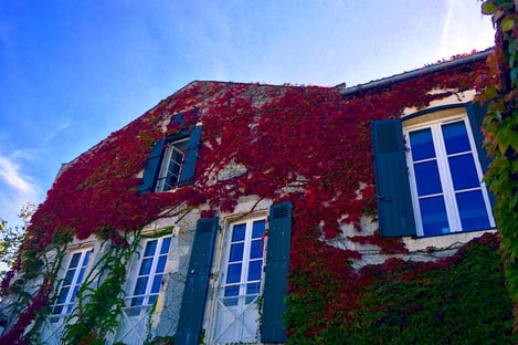 Le Comptoir du Môle