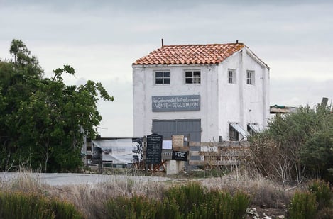 L’automne : visiter l’Île de Ré en octobre