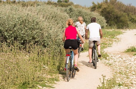 Explore the island by bus or by bike
