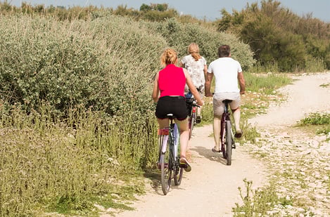 Île de Ré tourism: Attractions, and things to do with kids 