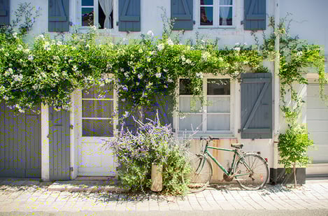Île de Ré: Discover villages, beaches, and local flavours 