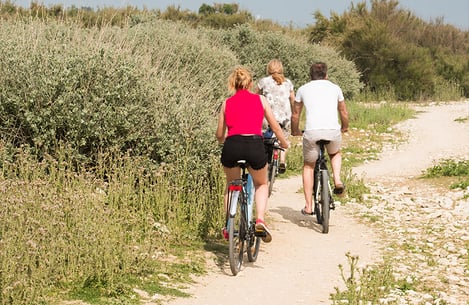 Que voir à l'Île de Ré ? Visites des charmants villages
