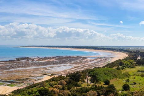 What is left of our donkeys?