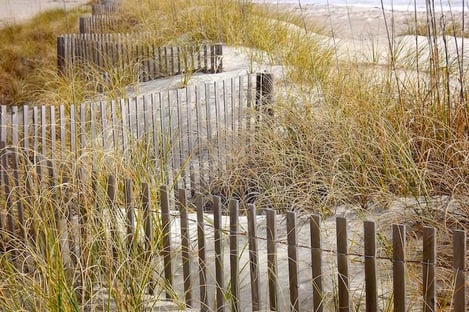 Et vous, que pouvez-vous faire ?