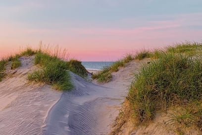 Protecting the dunes of Île de Ré