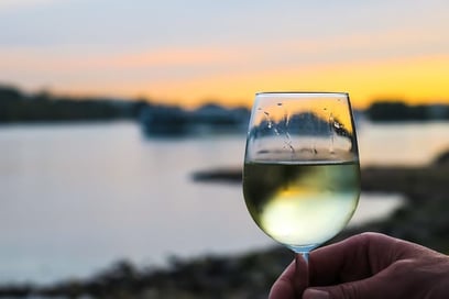 A la découverte des vins de l’Île de Ré