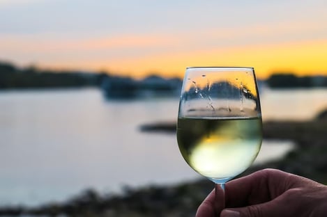 A la découverte des vins de l’Île de Ré