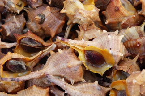 Le Café du commerce à Ars-en-Ré