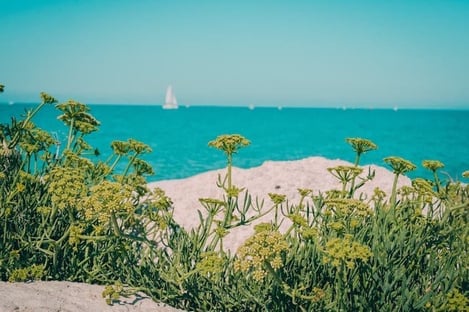 5 activités nautiques à l'île de Ré