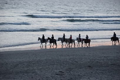 Horseriding on the Ile de Ré