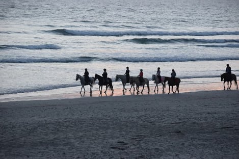 Monter à cheval sur l’île de Ré