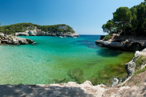 A particular culture