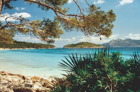 Where to Go in Majorca (or Mallorca) for Families: Things to See