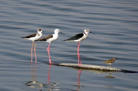 Quand la nature prend possession des lieux