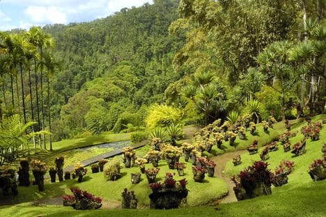 The island of flowers: The garden of Balata