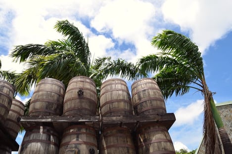 The rum distilleries
