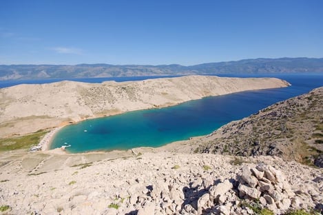 Goûtez à la gastronomie