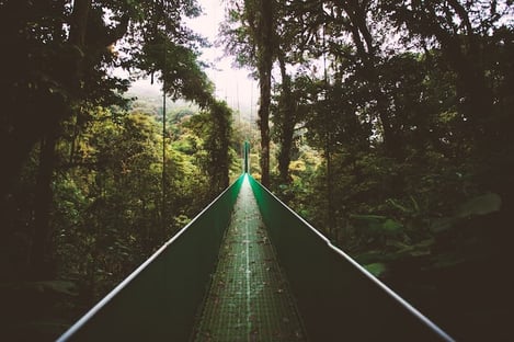 2- Try to cross the many suspension bridges of Costa Rica
