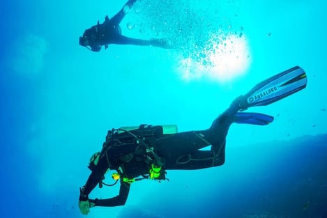 Diving - What to see at the bottom of the sea?