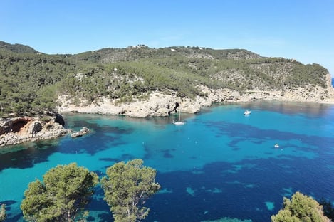 Ses Fontanelles Sa Cova Des Vi