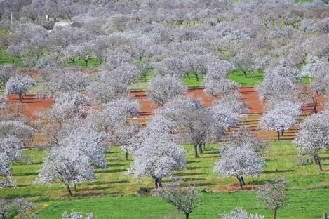 Ibiza, off the beaten track