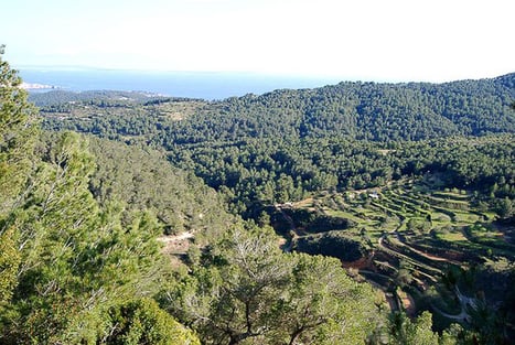 The green landscape of the Es Broll valley