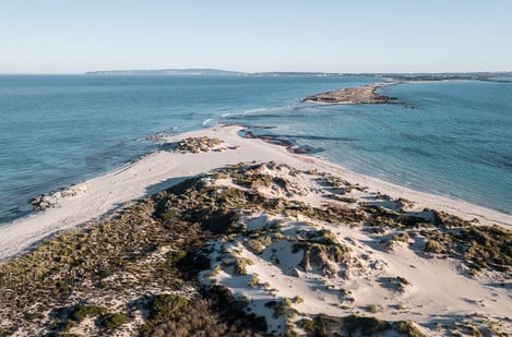 Découvrir Ibiza sous l'eau : snorkeling et plongée