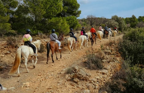 Se promener à Ibiza à cheval : conseils et informations pratiques 