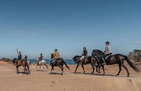 Découvrez les plus belles promenades à cheval sur l'île d'Ibiza