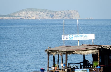 Ibiza en famille : des moments magiques à partager avec vos enfants