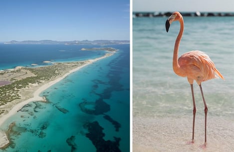 When to go to Ibiza? The Best Time to visit the island