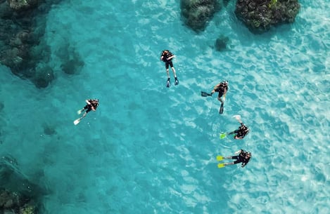 Go night diving in Ibiza