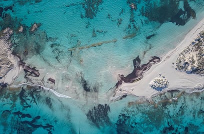 Luxe caché à Ibiza : Les secrets des locaux