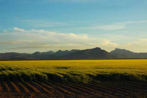 9- Pasea por Sant Mateu d’Albarca