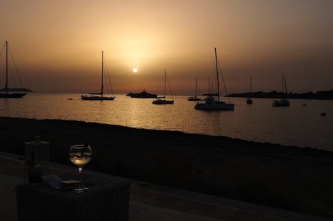 Enjoy Good Wines in Ibiza!