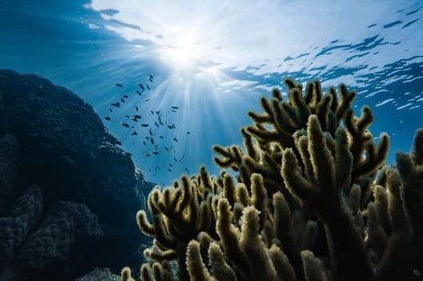 3 . Du seabob à San Antoni