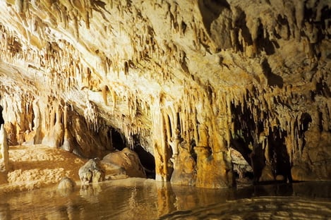 A spectacular visit for young and old