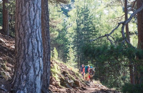 What is the best time to visit Cap Corse with your family?