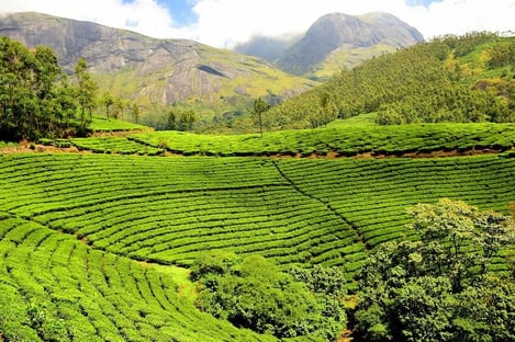 7- Extraordinary landscapes